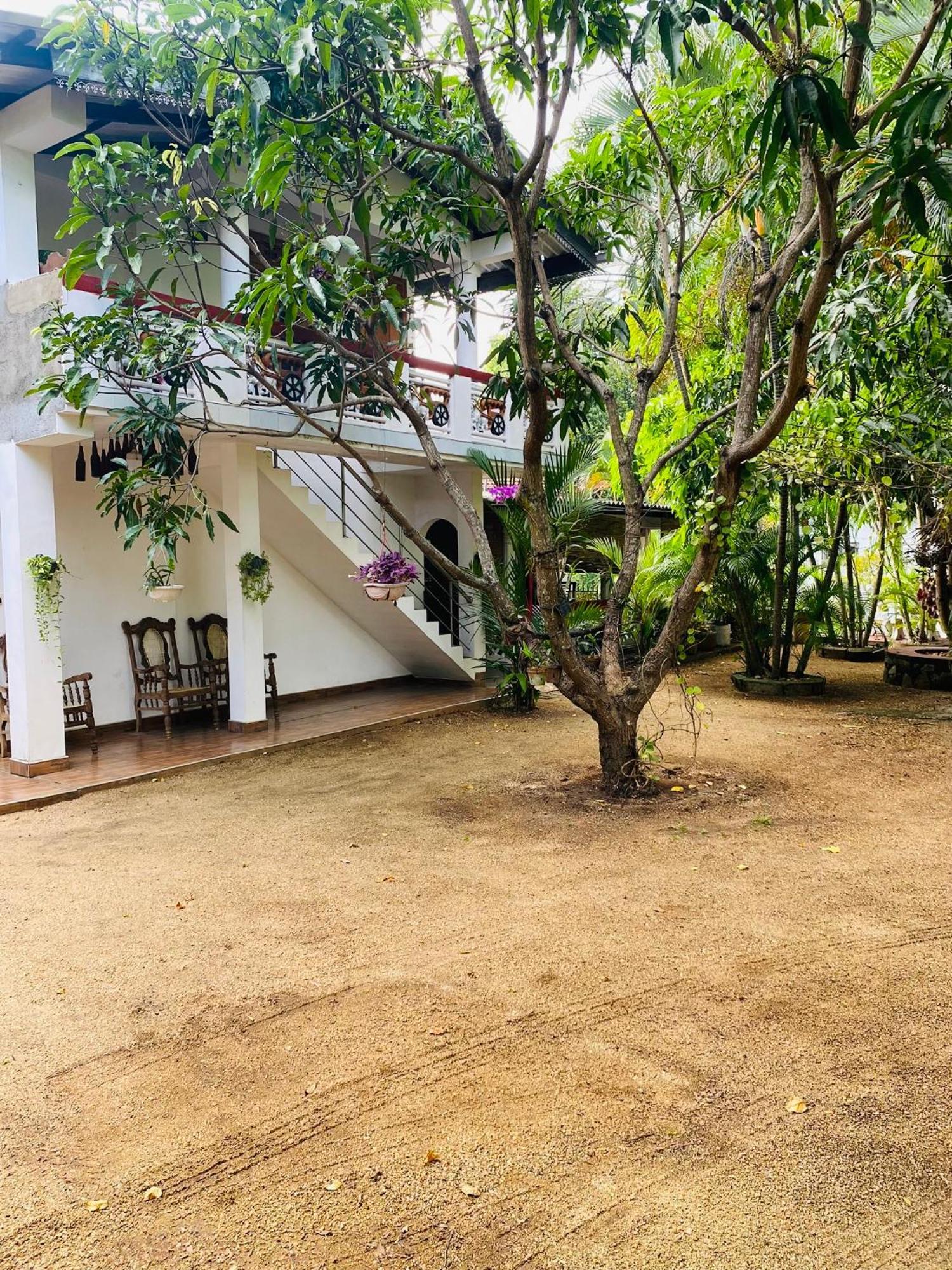 The Green Garden Dambulla Eksteriør billede