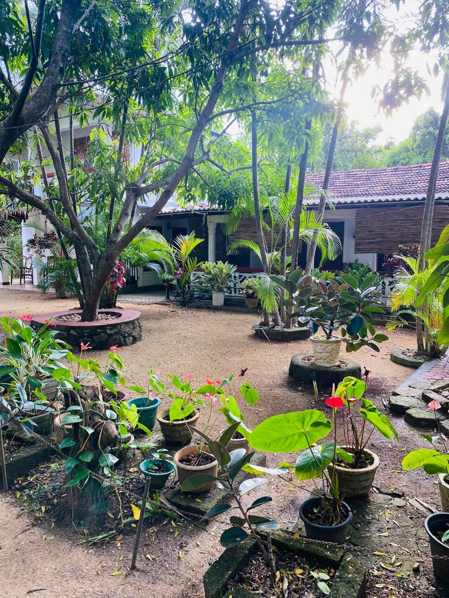 The Green Garden Dambulla Eksteriør billede